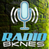 Logo de Bknes